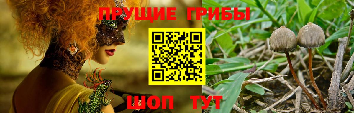 Галлюциногенные грибы GOLDEN TEACHER  Вход с VPN  Псилоцибиновые грибы Cubensis  Отрадный 